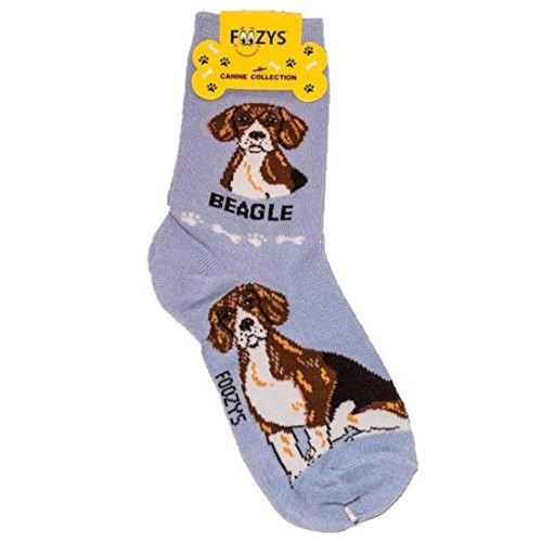 Beagle foozys fun - beagle,