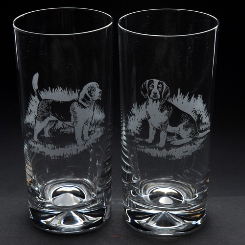 Beagle dog highball - highball,