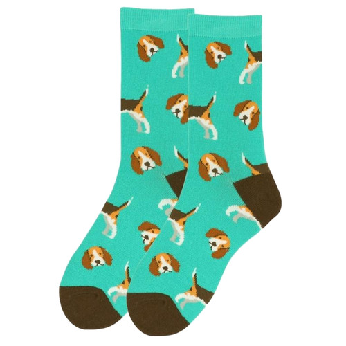 Beagle dog all - beagle, over