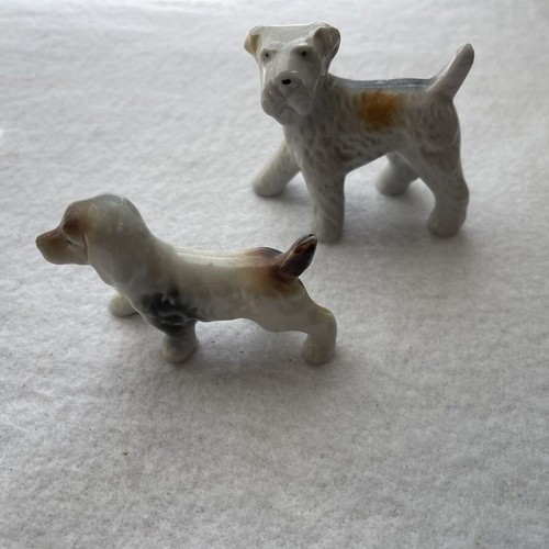Miniature white brown - brown, 2