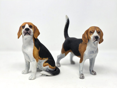 Vtg andrea sadek - vtg, beagle