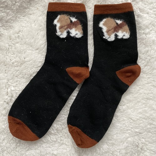 Pair beagle dog soft socks - of,