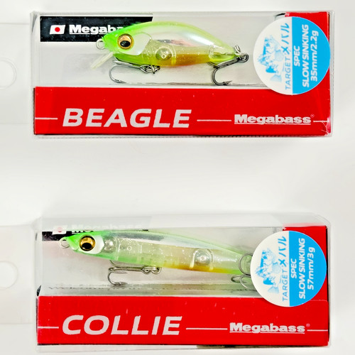 Megabass beagle collie - beagle,