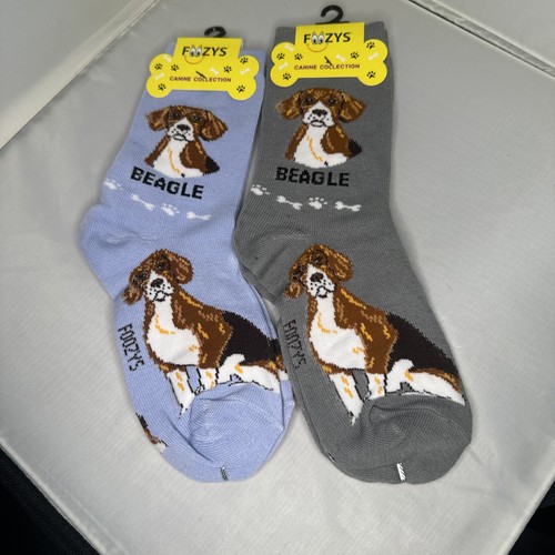 Beagle dog puppy women - beagle,
