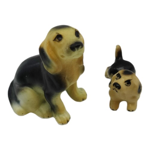 Mama puppy hound dog beagle - mama,