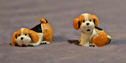 Two beagle dog puppies - dog, rosa