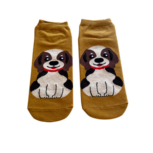 Beagle socks pair bundle - 3,