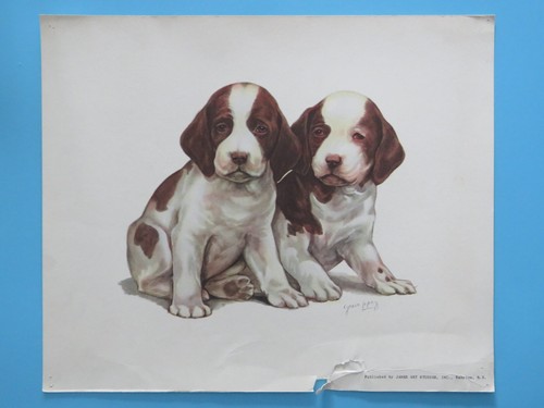 Vintage original 1950 dog - 1950's,
