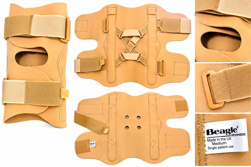 Beagle adjustable knee brace - beagle,