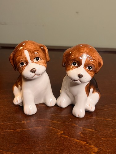 Beagle puppy dog salt - &, pepper
